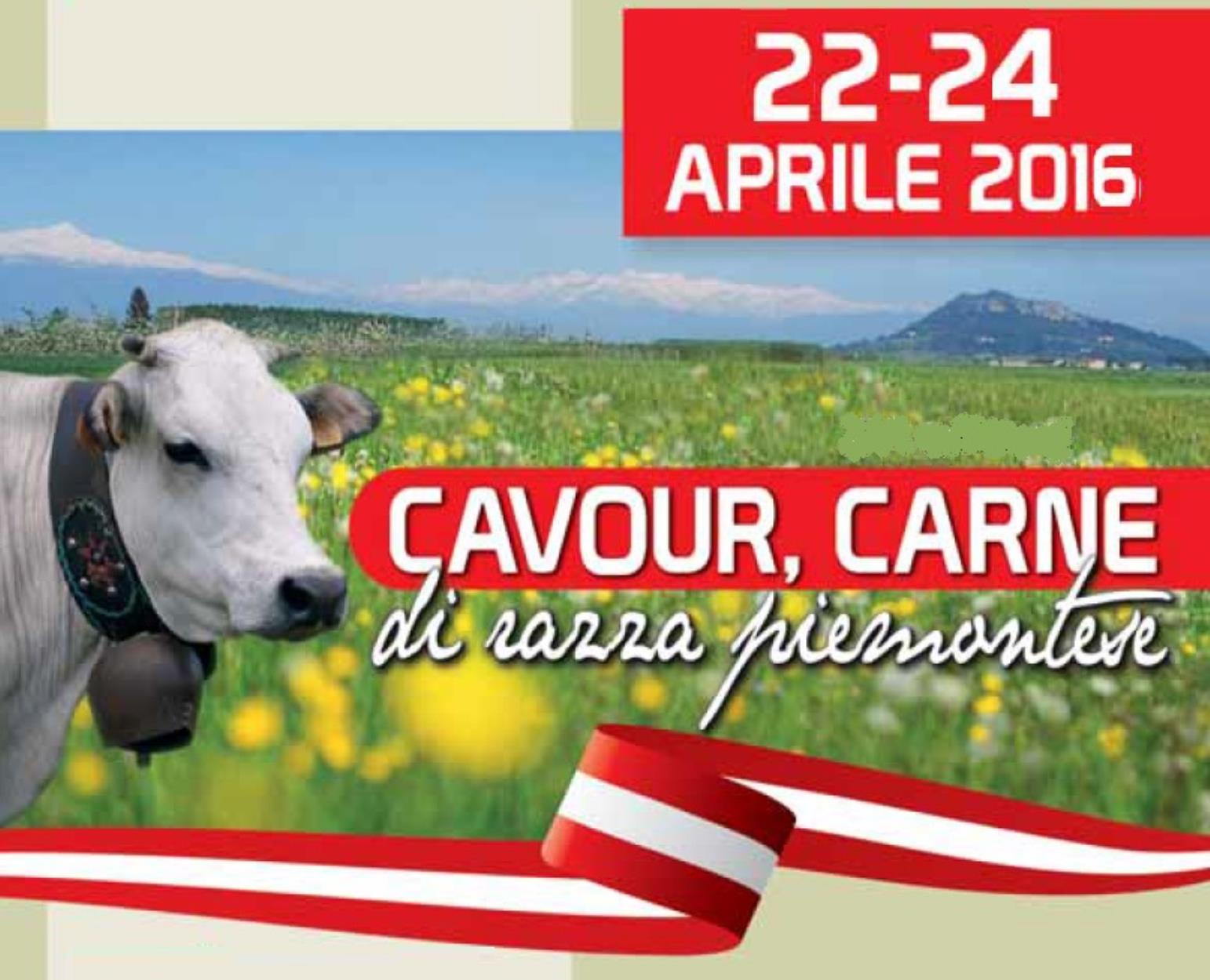 Cavour, carne di razza piemontese
