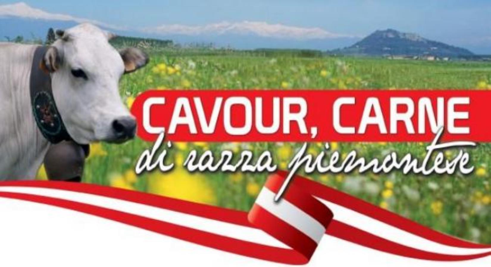 Cavour, carne di razza piemontese