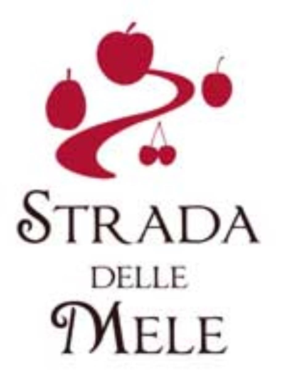 Festa della Borgata AIRALI