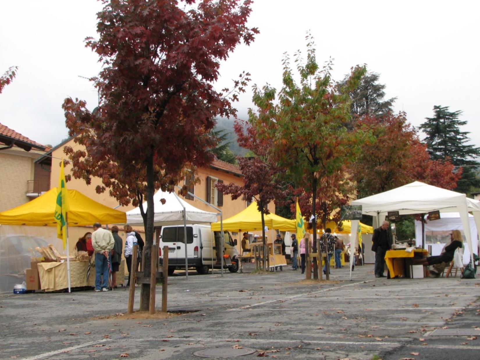 PinzimOLIO E FRUTTI DELLA TERRA - 27 e 28 ottobre