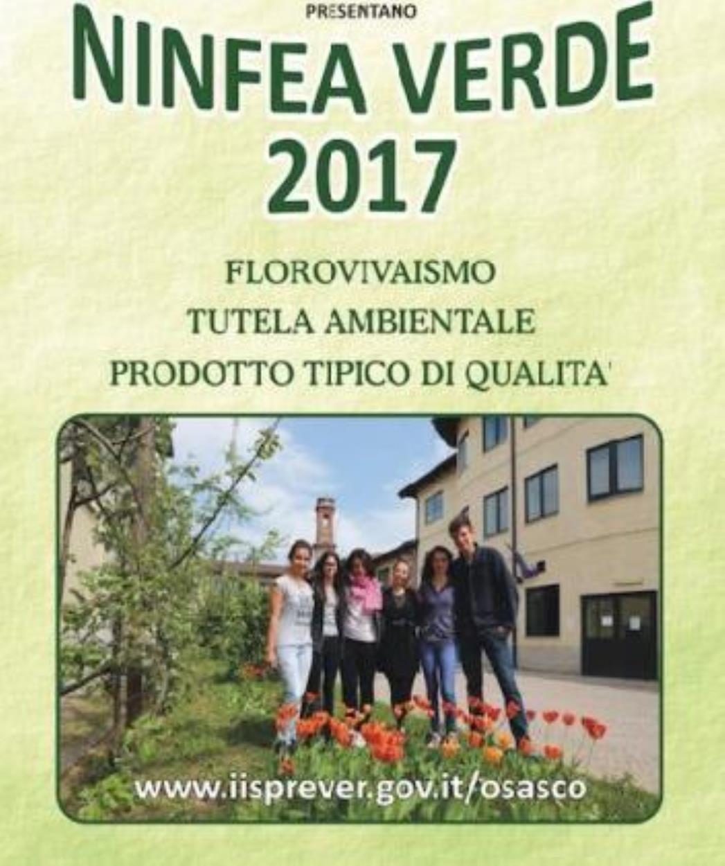 Ninfea Verde 2017